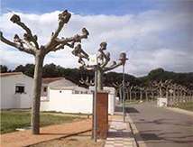 caso de éxito WiFi en el camping riembau