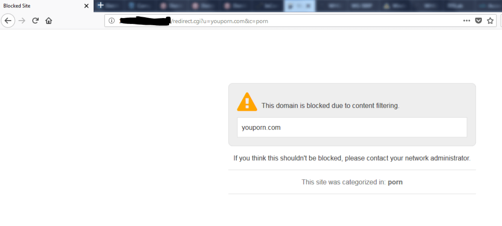 Acceso a una página con content blocking