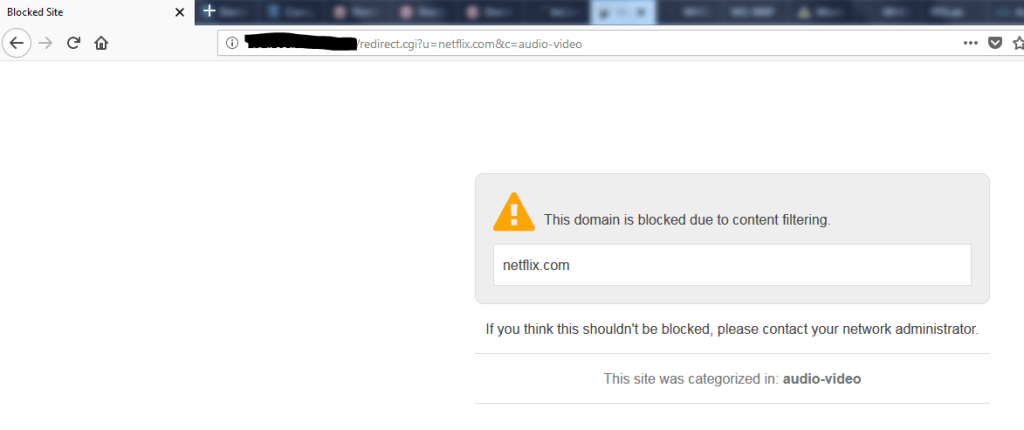 Acceso a Netflix