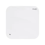 RG-AP880-L